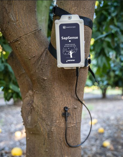 Netafim Treetoscope SapSense Gövde Akış Sensörü